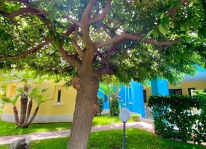 Villaggio Porticello Mare - Camera