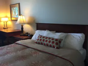 Hôtel Maison Blanche - Room