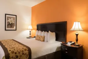 Oakland Airport Executive Hotel - Vue de la chambre