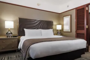 Alyeska Resort - Rum