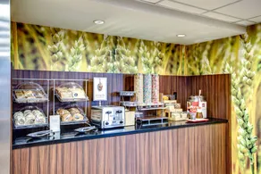 Fairfield Inn & Suites by Marriott Springfield Holyoke - Chambre
