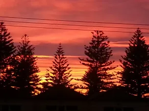 Adelaide Luxury Beach House - View from room