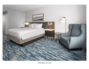 Hilton Garden Inn Winston-Salem/Hanes Mall - Chambre