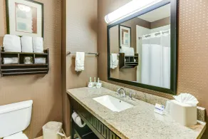 Holiday Inn Express Hotel & Suites Huntsville by IHG - Bagno