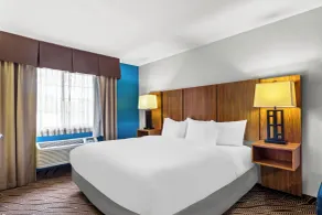 Quality Inn & Suites San Antonio Airport - Stone Oak - Chambre