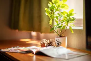 Goodmore Hotel - Chambre