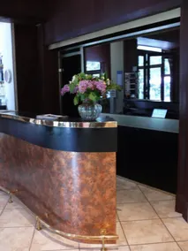 Hôtel Vignemale - Reception