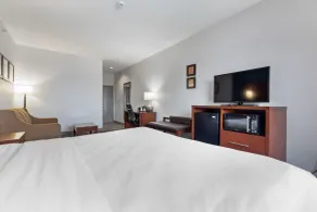 Comfort Suites Lombard - Addison - Chambre