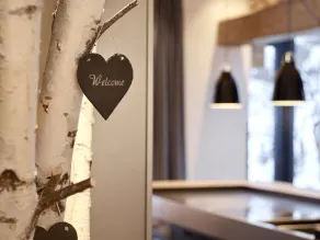 Firefly Luxury Suites - Camera