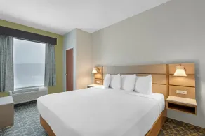 Best Western Wesley Chapel - Chambre