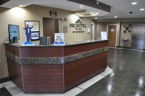 Microtel Inn & Suites by Wyndham Lithonia/Stone Mountain - Réception