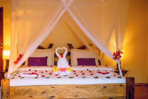 Moyo Mzuri Villa Resort Zanzibar Ltd. - Room