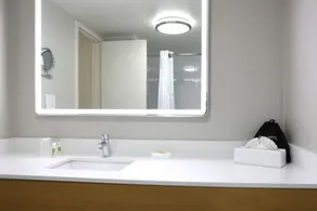 Holiday Inn O'Hare Area by IHG - Salle de bain