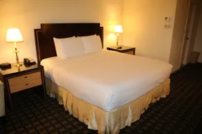 Bedford Plaza Hotel - Boston - Chambre