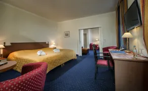 Radisson Blu Hotel Halle-Merseburg - Room