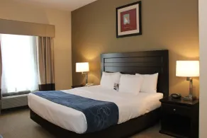 Comfort Suites South Bend Near Casino - Chambre