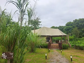 Tantawan Tented Camp Chiang Rai - Habitación