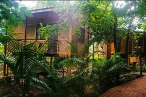 Nature Trails Sajan, Vikramgad - Vue de la chambre