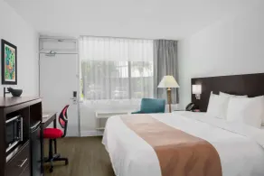 Quality Inn Miami South - Chambre