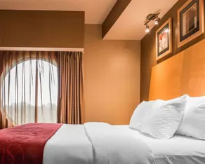 Comfort Suites Monroeville - Pittsburgh East - Room