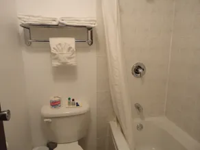 South Hill Motor Inn - Salle de bain