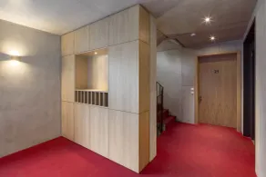 Premium Apartments Thommen - Entrada (vista interior)