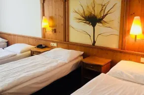 Hotel Braník - Chambre
