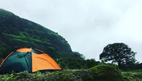 Canary Forest Camping - Diversos