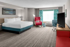 Hilton Garden Inn Hartford South/Glastonbury - Rum