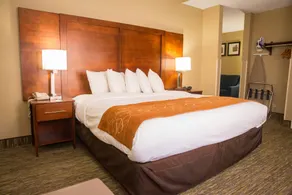 Comfort Suites near I-80 and I-94 - Chambre