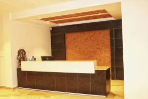 Hotel Trio Max - Reception