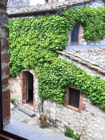 Borgo Livernano - Vue de la chambre