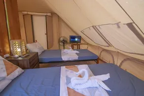 The Acacia Glamping Park - Rum