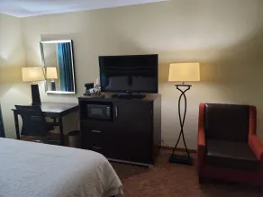 Hampton Inn Austin/Oak Hill - Room