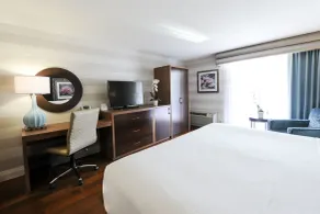 Holiday Inn Niagara Falls-By the Falls by IHG - Chambre