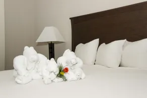 Quality Inn & Suites Yellowknife - Chambre