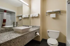 Red Roof Inn South Bend - Mishawaka - Bathroom