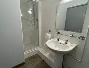 Dog and castle - Bathroom