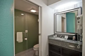 Inn at Clemson - Salle de bain