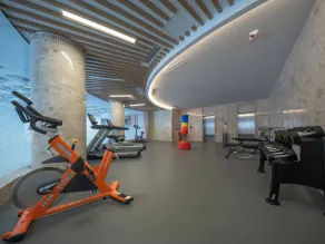 Holiday Inn Express Zhengzhou Guancheng by IHG - Area fitness