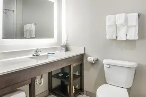 Holiday Inn Express & Suites Tulsa East - Catoosa by IHG - Salle de bain
