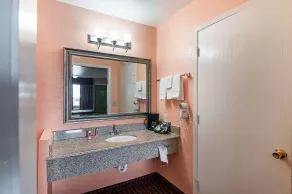 Econo Lodge Dalhart Hwy 54 - Hwy 287 - Salle de bain