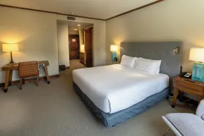 Hyatt Centric Park City - Chambre