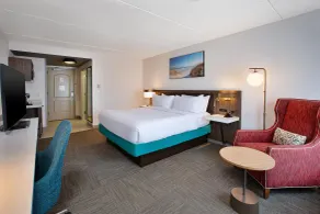 Hilton Garden Inn Chesapeake/Greenbrier - Chambre