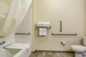 Cobblestone Hotel & Suites - Beulah - Bathroom