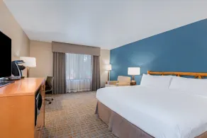 Holiday Inn Resort The Lodge at Big Bear Lake by IHG - Zimmer