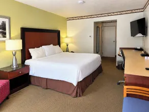 Nittany Budget Motel - Room