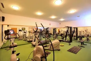 Hotel Břízky - Fitnesscenter