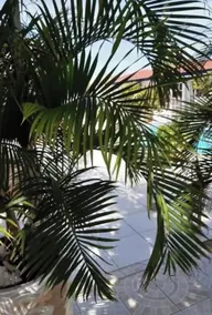 HARMONY Hotel Hostel Aruba - View from room