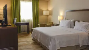Holiday Inn Express and Suites Celaya by IHG - Chambre